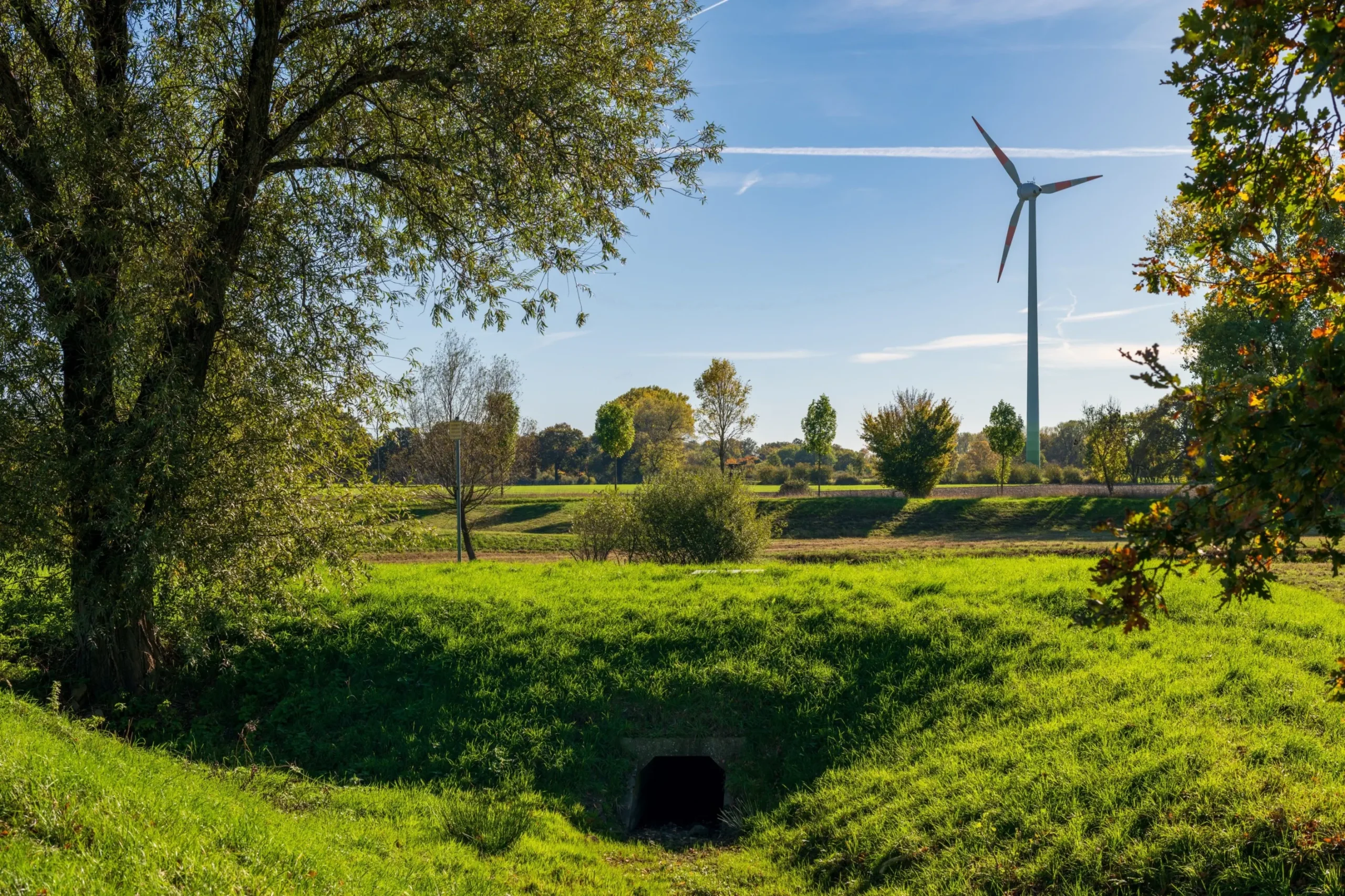 Elite Global Energy Landscape